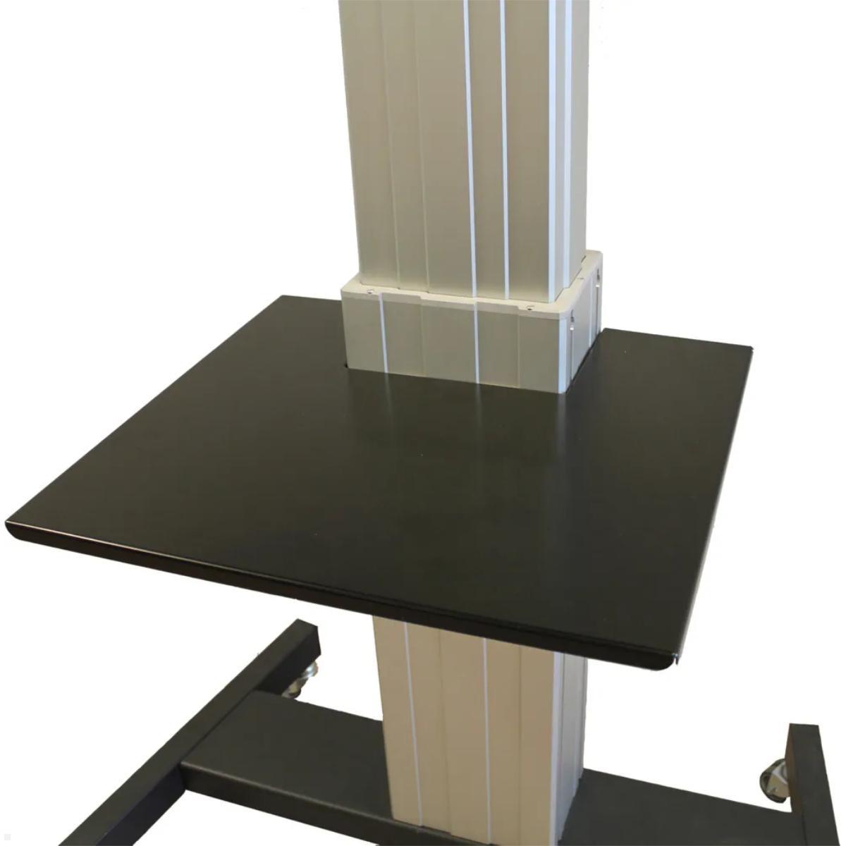 Neomounts Zubehör Ablage für PLASMA-Wagen (PLASMA-M2500LAPSHELF) Neomounts Zubehör Ablage für PLASMA-Wagen (PLASMA-M2500LAPSHELF)